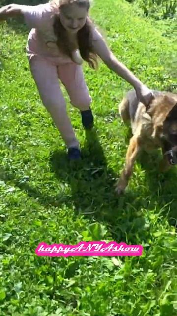 #ОТ САХАРНОЙ КОСТОЧКИ СОБАКУ КОЛБАСИТ...#Shorts#A SUGAR BONE MAKES A DOG GOOD...#