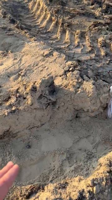 Водоотведение ливневой воды с участка будущего дома.