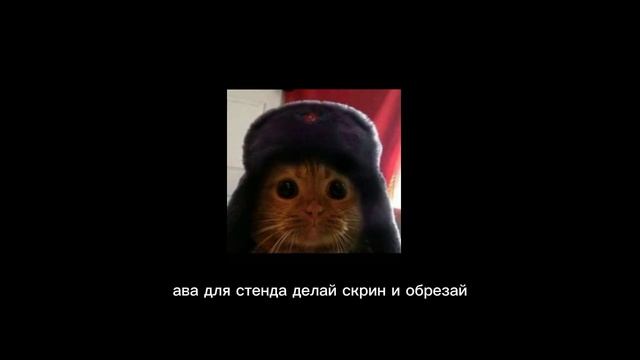 ава для стенда