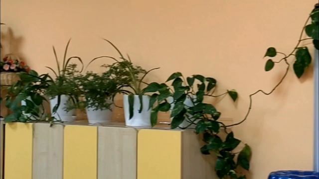 Уроки Мужества
