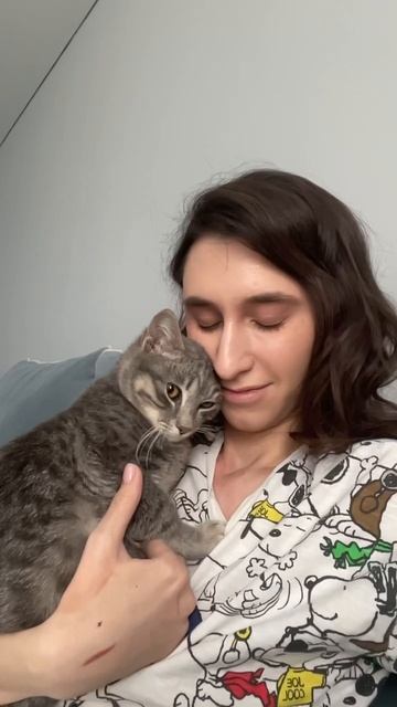 Ласковый котик в добрые руки в г.Краснодаре