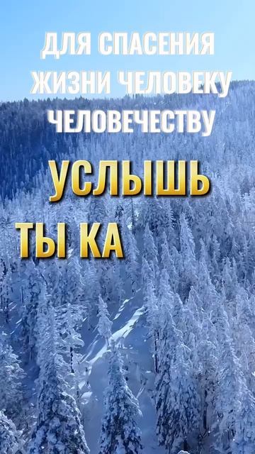 1000063925.mp4