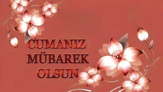 VID_20250214_100824_207.mp4