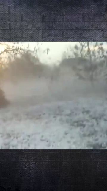 Кровавый дождь. Ч-4