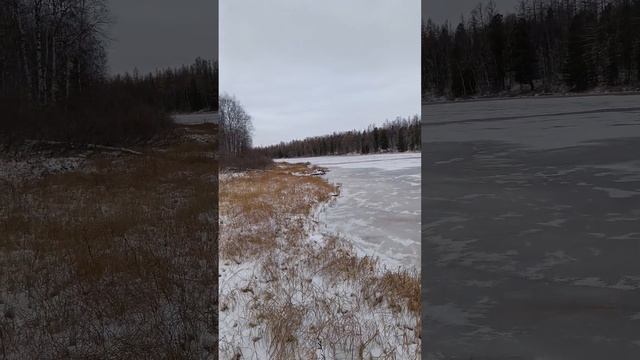 Пора уже на зимнюю