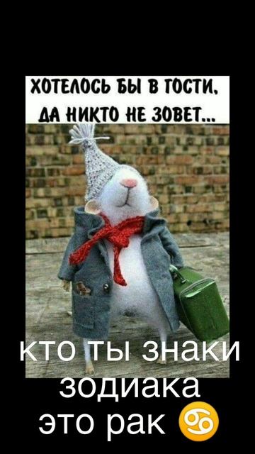 знаки зодиака