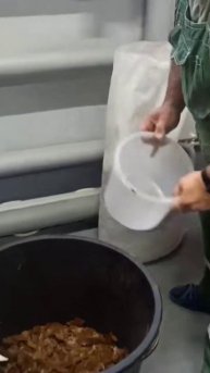 мука из чёрной львинки 1
