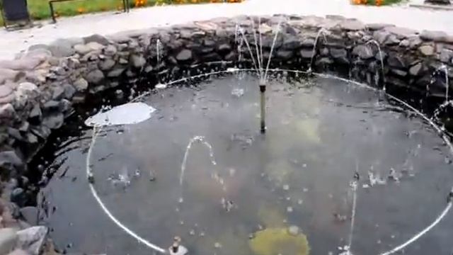 Сквер, фонтан, павлин...