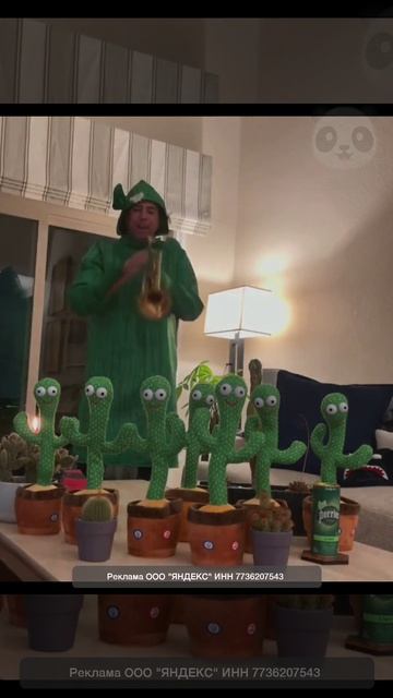 Повелитель кактусов)