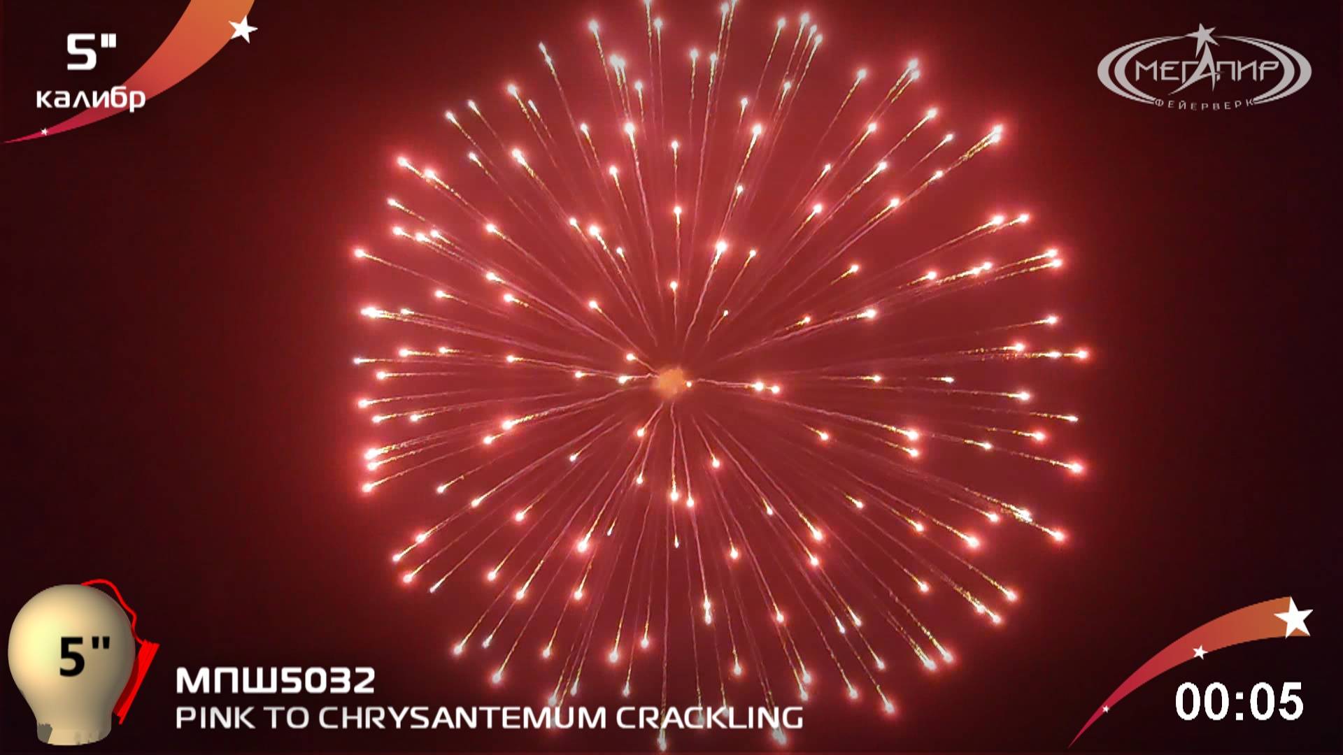 PINK TO CHRYSANTEMUM CRACKLING МПШ5032