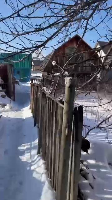 1000156422.mp4