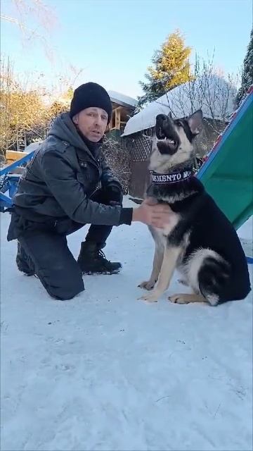 ВЕО Валентлайф Черемуха, 11 мес. д.р.11.03.2024г.