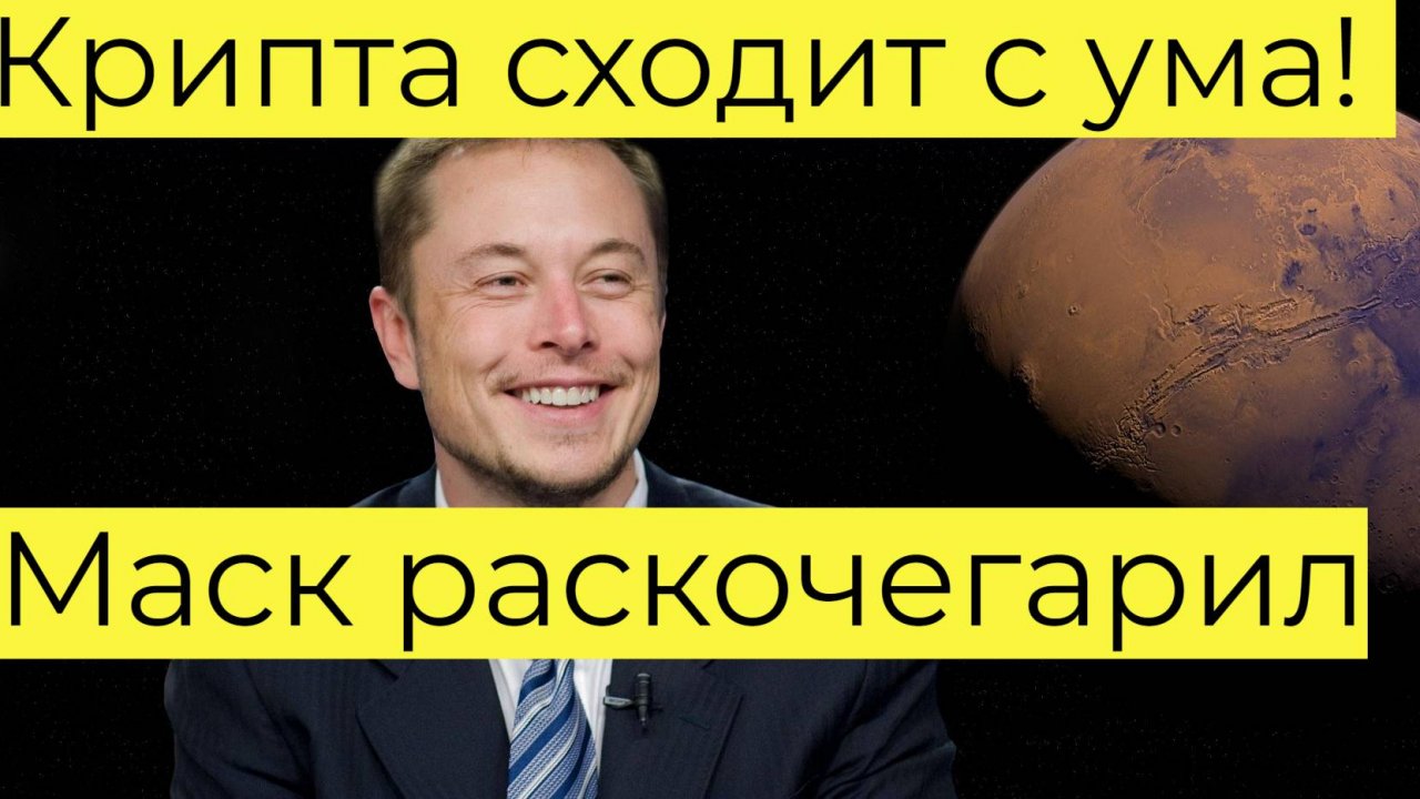 Крипторынок трясёт! HARRYBOLZ +3000%