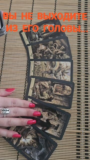 ВЫ НЕ ВЫХОДИТЕ ИЗ ЕГО ГОЛОВЫ, ПОЧЕМУ?