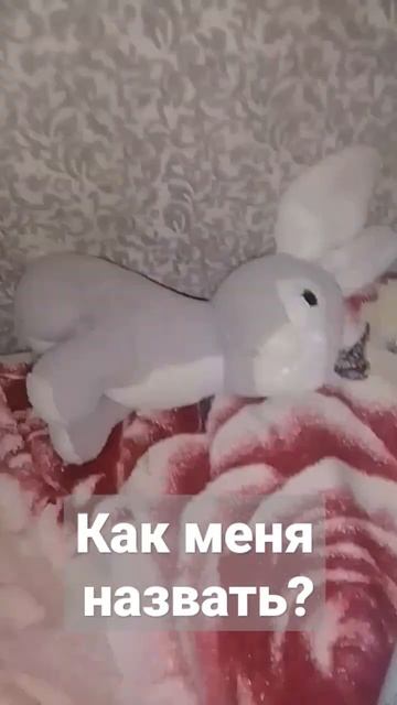 как назвать игрушечного кролика девочка???🤔