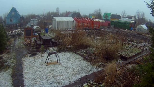 12 05 2020г дача рассада