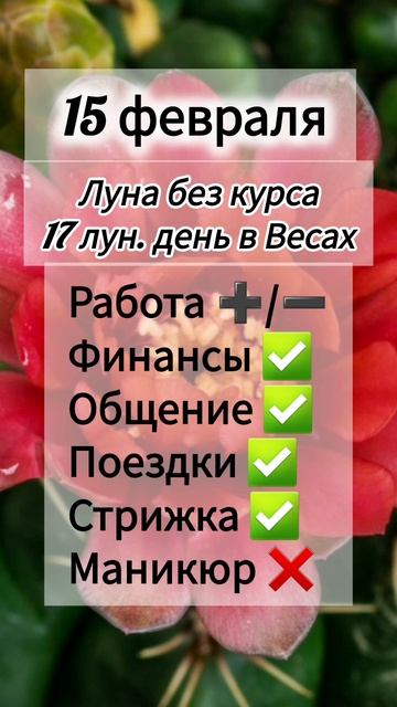 Лунный день 15 февраля 2025 года Гороскоп каждый день! #астрология #прогноздня #лунный календарь