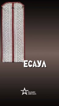 ПО СЛУЧАЮ ПРИСВОЕНИЯ: кому есаул приходится «сыном»?