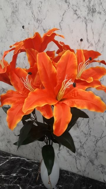 YouCut_20250212_124719552