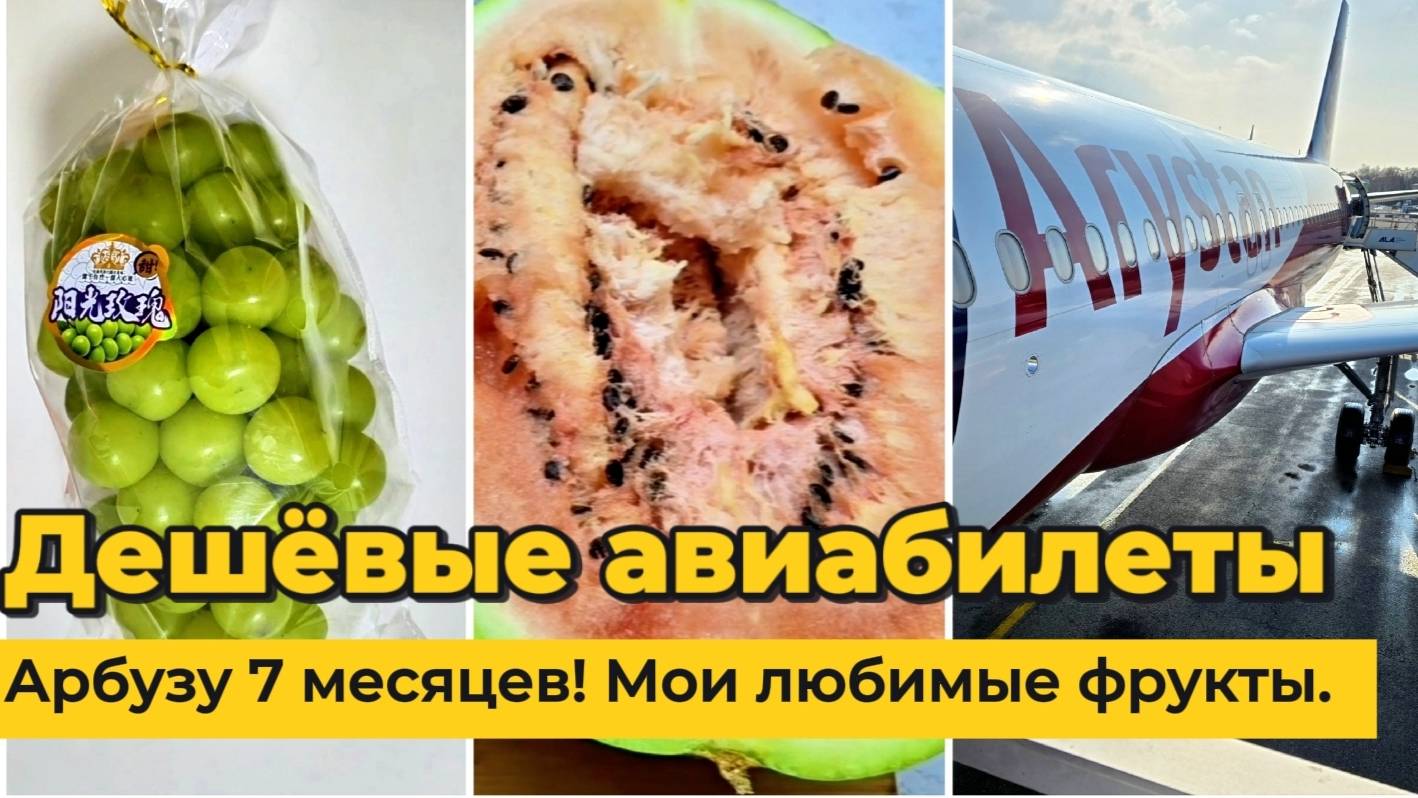 Купил дешёвые билеты на самолет. Арбузу 7 месяцев 🍉 не дожил до 14 февраля! Alexey_kossykh
