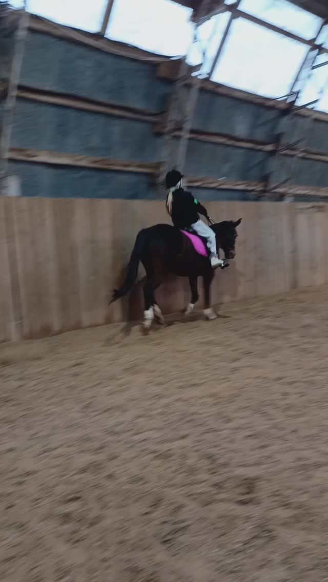 Соня и Флейта галоп. #horse #equestrian #лошади #pony