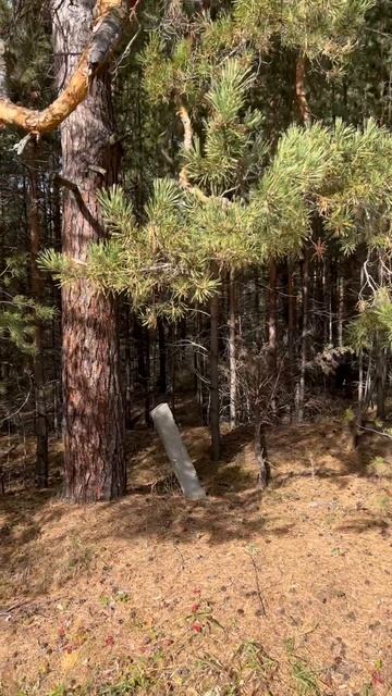 Участок в Шилова
