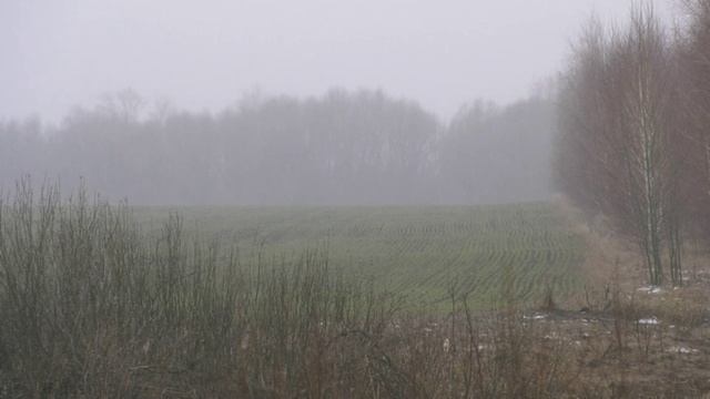 Аграрии Воронежской области оказались на третьем месте по суммам страховых выплат за утрату урожая