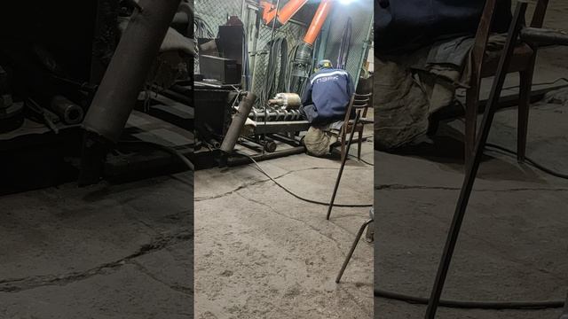 VID_20250213_110158.mp4