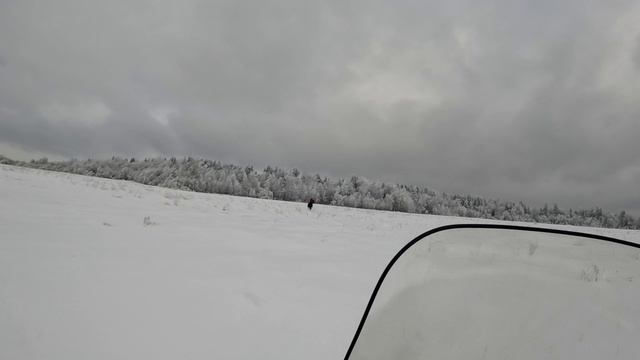 14/02/25.mp4
