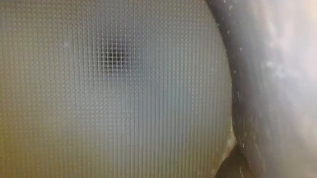 1000102179.mp4