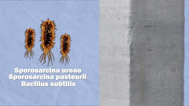 Умные асфальтобетоны: миф или реальность?