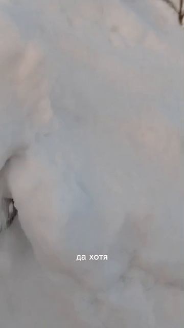 Домовой