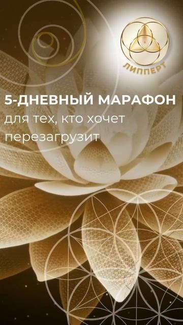 🔥 5-дневный марафон для тех, кто хочет перезагрузить сознание и наполниться энергией🔥