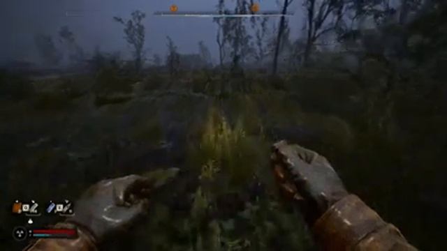 STALKER 2 Heart of Chornobyl 9