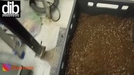 Кормление личинки для куколок