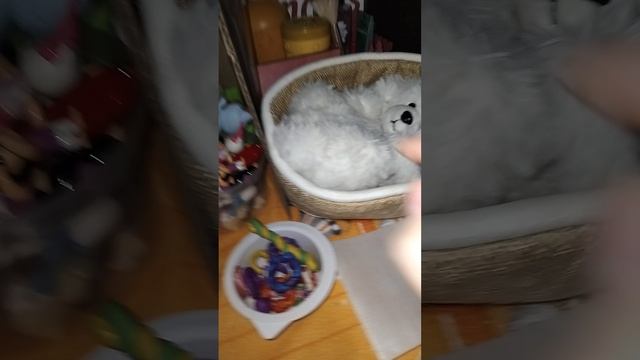 делаю укол снежи