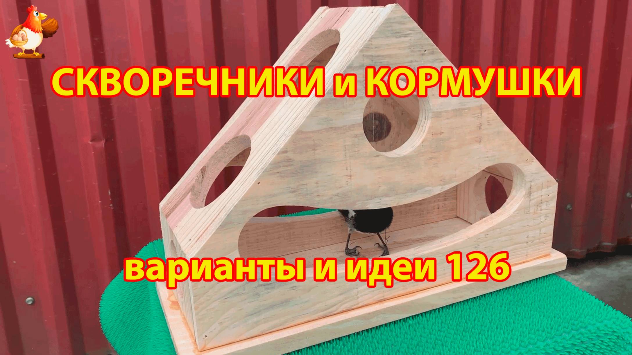 Скворечники и кормушки своими руками для птиц 126 🪚🪛🔨 Идеи для дачи и сада пошагово ❣️