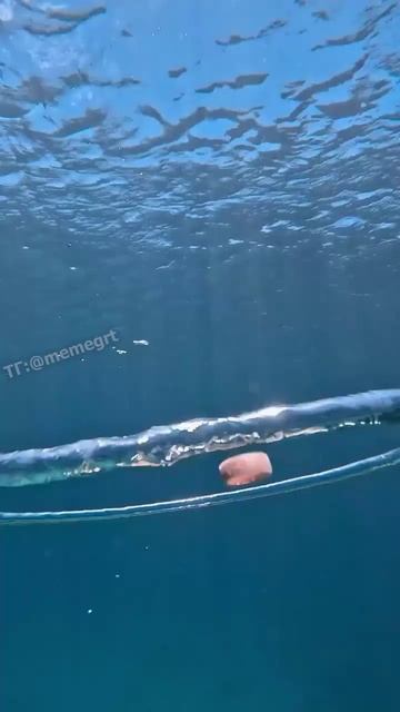 Занимательная физика - как себя ведет обычное кольцо и водяное кольцо на глубине