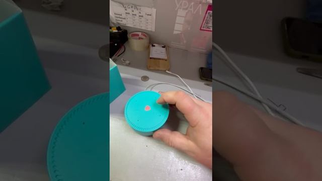 1000050258.mp4