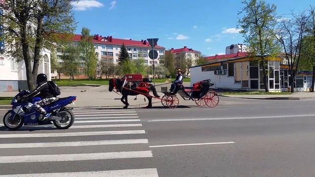 Карета и байкеры на дороге в #Молодечно.