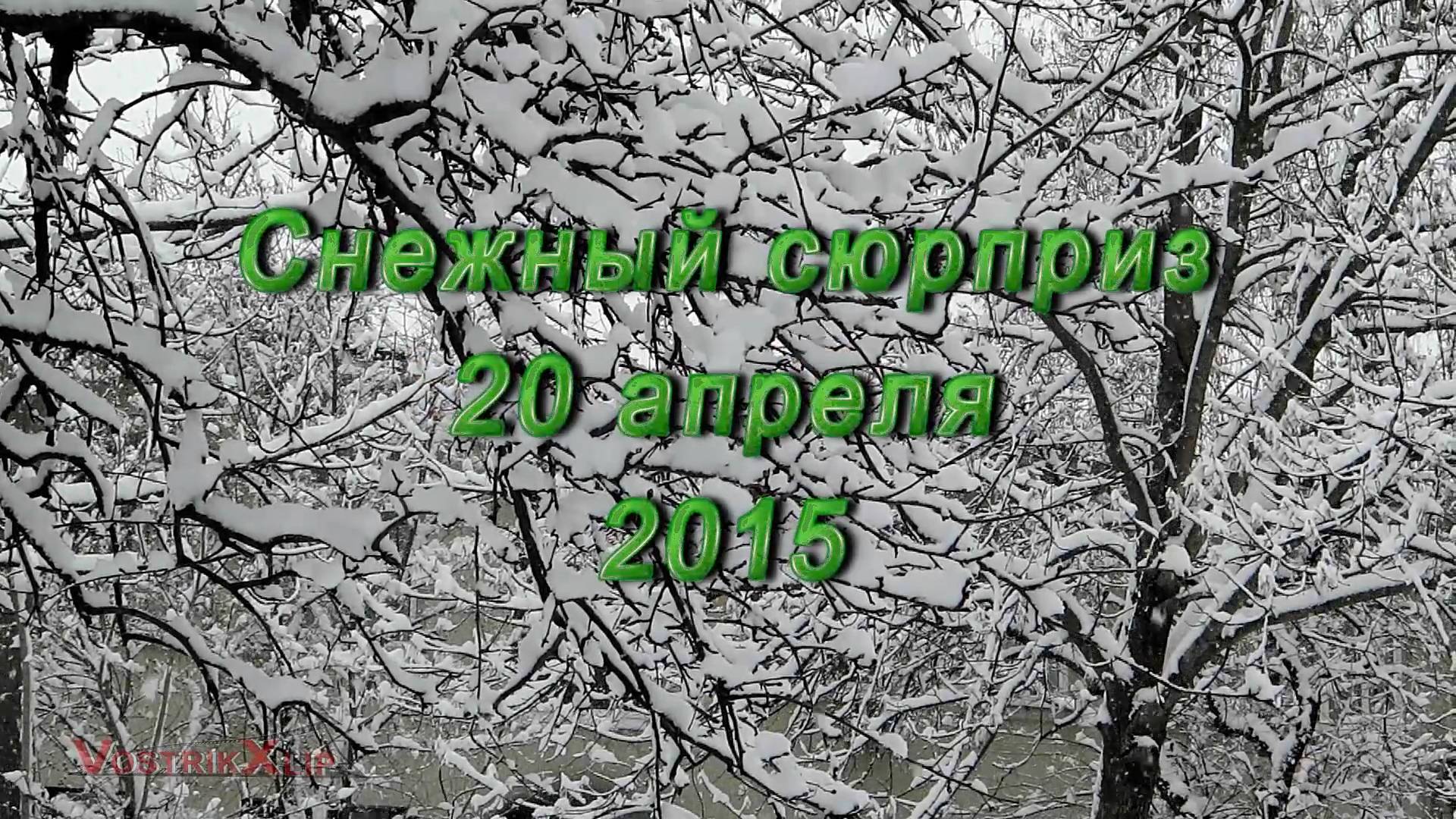 2015.04.20 Снежный сюрприз (5)