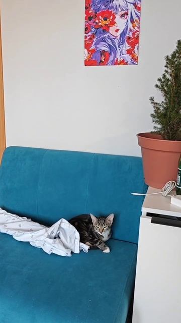 Домашние пельмени🥟