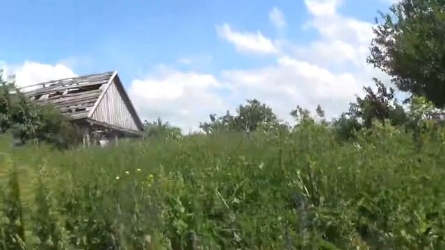 с.Граждановка, Бондарский район