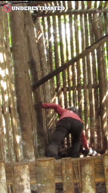 Perangkap Petani Sukses: Menangkap Hama Monyet di Kebun Sawit" #hamamonyet #hama #berburu #monyet