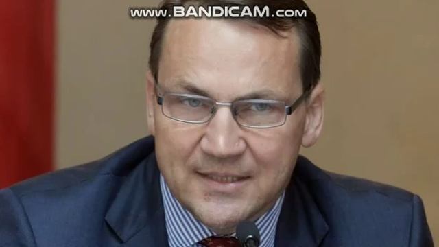 Глава МИД Польши счел неизбежной отправку войск ЕС на Украину