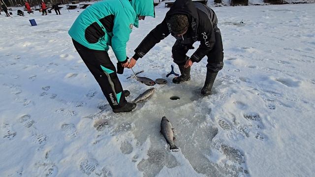 15.02.25 г. Парк отдыха водопад