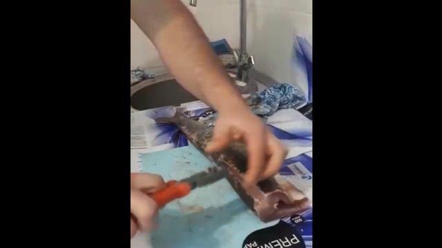 Котлеты из щуки