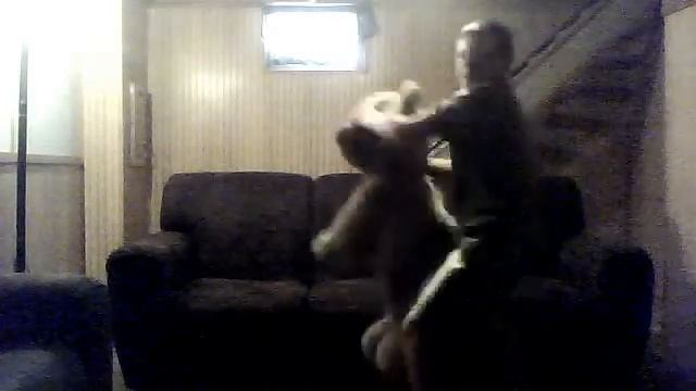 Mr. bear vs ethan