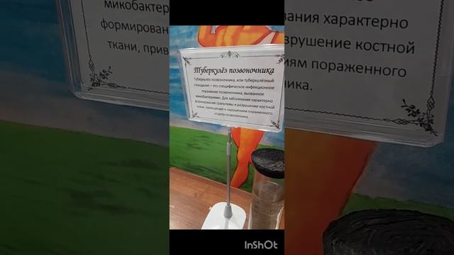 Тело о человека, животных и рыба