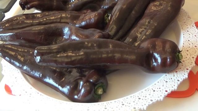 Сладкий перец Шоколадный Палермо